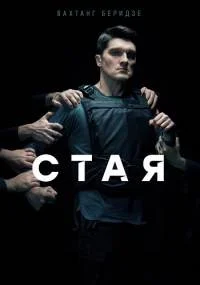 Стая